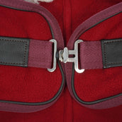 Diego & Louna Hondendeken Polar Bordeaux Diego & Louna Hondendeken Polar Bordeaux