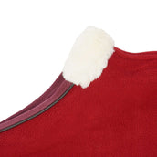 Diego & Louna Hondendeken Polar Bordeaux Diego & Louna Hondendeken Polar Bordeaux