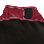 Diego & Louna Hondendeken Teddy Nylon Bordeaux Diego & Louna Hondendeken Teddy Nylon Bordeaux