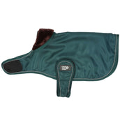 Diego & Louna Hondendeken Teddy Nylon Groen Diego & Louna Hondendeken Teddy Nylon Groen