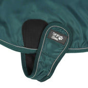 Diego & Louna Hondendeken Teddy Nylon Groen Diego & Louna Hondendeken Teddy Nylon Groen