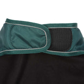 Diego & Louna Hondendeken Teddy Nylon Groen Diego & Louna Hondendeken Teddy Nylon Groen