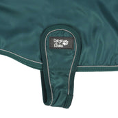 Diego & Louna Hondendeken Teddy Nylon Groen Diego & Louna Hondendeken Teddy Nylon Groen