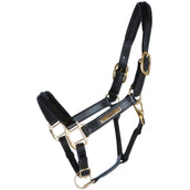 HB Showtime Halster Horse Name Leer Bruin HB Showtime Halster Horse Name Leer Bruin