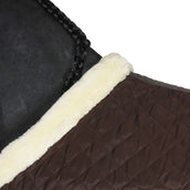 Kentucky Showdeken 160g Bruin Kentucky Showdeken 160g Bruin