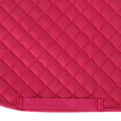 Waldhausen Zadeldekje Felix Veelzijdigheid Azalea Waldhausen Zadeldekje Felix Veelzijdigheid Azalea