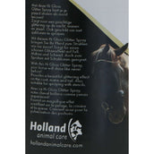 Excellent Glitter Spray Hi Gloss Zilver Excellent Glitter Spray Hi Gloss Zilver