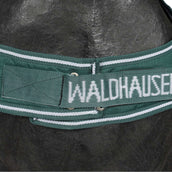 Waldhausen Stapmolendeken 100g Fir Green Waldhausen Stapmolendeken 100g Fir Green