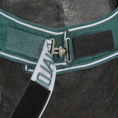 Waldhausen Stapmolendeken 100g Fir Green Waldhausen Stapmolendeken 100g Fir Green