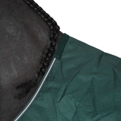 Waldhausen Stapmolendeken 100g Fir Green Waldhausen Stapmolendeken 100g Fir Green