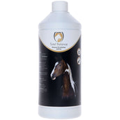 Excellent Equi Total Balance Excellent Equi Total Balance