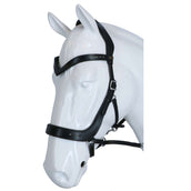 F.R.A Hoofdstel Glory Kingekruist Leder met Kralen Zwart F.R.A Hoofdstel Glory Kingekruist Leder met Kralen Zwart