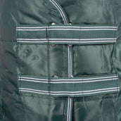 Waldhausen Staldeken Economic 100g Spar Groen Waldhausen Staldeken Economic 100g Spar Groen