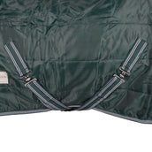 Waldhausen Staldeken Economic 100g Spar Groen Waldhausen Staldeken Economic 100g Spar Groen