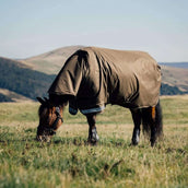 LeMieux Outdoordeken Arika 600D 50g Alpine LeMieux Outdoordeken Arika 600D 50g Alpine