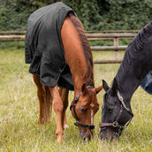 Waldhausen Outdoordeken Nordic 50g Zwart Waldhausen Outdoordeken Nordic 50g Zwart