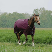 EQUITHÈME Outdoordeken Tyrex 1200D 150g Standard Burgundy EQUITHÈME Outdoordeken Tyrex 1200D 150g Standard Burgundy