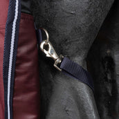 EQUITHÈME Outdoordeken Tyrex 1200D 0g High Neck Burgundy EQUITHÈME Outdoordeken Tyrex 1200D 0g High Neck Burgundy