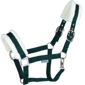 Agradi Horse Halster First Fir Green Agradi Horse Halster First Fir Green