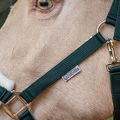 Agradi Horse Halster First Fir Green Agradi Horse Halster First Fir Green
