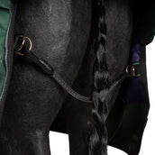 Agradi by Bucas Turnout Rug 0g Groen/Zwart Agradi by Bucas Turnout Rug 0g Groen/Zwart