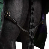 Agradi by Bucas Turnout Rug 0g Groen/Zwart Agradi by Bucas Turnout Rug 0g Groen/Zwart