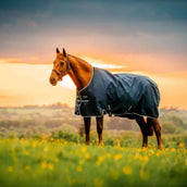 Amigo Ripstop 900D Pony 100g Witney Navy Amigo Ripstop 900D Pony 100g Witney Navy