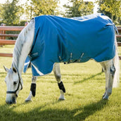Horseware Therapy Turnout Ionic 100g Imperial Blue/Silver/Navy Horseware Therapy Turnout Ionic 100g Imperial Blue/Silver/Navy