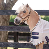 Amigo Bug Rug Plus Petite Silver/Lime/Navy/Pink/Blue Amigo Bug Rug Plus Petite Silver/Lime/Navy/Pink/Blue
