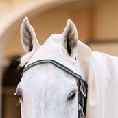 Rambo Hoody XL Chalk/Hunter Green/Silver Rambo Hoody XL Chalk/Hunter Green/Silver