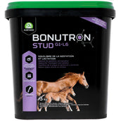 Audevard Bonutron Stud Audevard Bonutron Stud