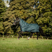 Amigo Ripstop 900D Plus Pony 200g Dynasty Green/Navy/Silver Amigo Ripstop 900D Plus Pony 200g Dynasty Green/Navy/Silver