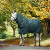 Amigo Halsstuk Ripstip Insulator Stable 100g Dynasty Green/Navy/Silver Amigo Halsstuk Ripstip Insulator Stable 100g Dynasty Green/Navy/Silver