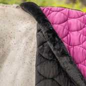 Velder Horsewear Premium Showdeken Satin Glow Dutch Raspberry Velder Horsewear Premium Showdeken Satin Glow Dutch Raspberry