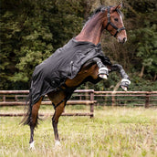 Waldhausen Outdoordeken Scandic Multi-Layer 50/150g Zwart Waldhausen Outdoordeken Scandic Multi-Layer 50/150g Zwart