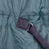WeatherBeeta ComFiTec Plus Dynamic Turnout Detach-A-Neck 220g Forest Green/Navy WeatherBeeta ComFiTec Plus Dynamic Turnout Detach-A-Neck 220g Forest Green/Navy