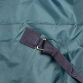 WeatherBeeta ComFiTec Plus Dynamic Turnout Detach-A-Neck 100g Forest Green/Navy WeatherBeeta ComFiTec Plus Dynamic Turnout Detach-A-Neck 100g Forest Green/Navy