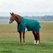 WeatherBeeta ComFiTec Plus Dynamic Turnout High Neck 100g Forest Green/Navy WeatherBeeta ComFiTec Plus Dynamic Turnout High Neck 100g Forest Green/Navy