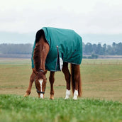 WeatherBeeta ComFiTec Plus Dynamic Turnout High Neck 100g Forest Green/Navy WeatherBeeta ComFiTec Plus Dynamic Turnout High Neck 100g Forest Green/Navy