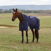 WeatherBeeta ComFiTec Plus Dynamic Turnout High Neck 220g Navy/Forest Green WeatherBeeta ComFiTec Plus Dynamic Turnout High Neck 220g Navy/Forest Green