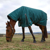 WeatherBeeta ComFiTec Classic Turnout Combo 360g Forest Green/Black WeatherBeeta ComFiTec Classic Turnout Combo 360g Forest Green/Black