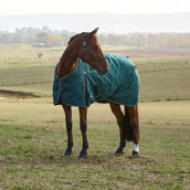 WeatherBeeta ComFiTec Classic Turnout 220g Forest Green/Black WeatherBeeta ComFiTec Classic Turnout 220g Forest Green/Black