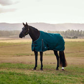 WeatherBeeta ComFiTec Classic Turnout 50g Forest Green/Black WeatherBeeta ComFiTec Classic Turnout 50g Forest Green/Black