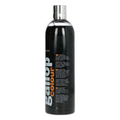 Carr & Day & Martin Shampoo Gallop Colour Zwart Carr & Day & Martin Shampoo Gallop Colour Zwart