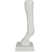 Kerbl Zwachtels Equilastic Zelfhechtend 4,5m Wit Kerbl Zwachtels Equilastic Zelfhechtend 4,5m Wit