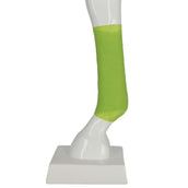 Kerbl Zwachtels Equilastic Zelfhechtend 4,5m Groen Kerbl Zwachtels Equilastic Zelfhechtend 4,5m Groen