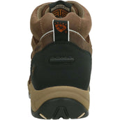 Ariat Ladies Terrain Shoe H2O Zip Distressed Brown Ariat Ladies Terrain Shoe H2O Zip Distressed Brown