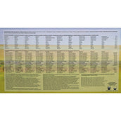 Pavo Vital Pavo Vital