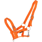 Harry's Horse Veulenhalster Oranje Harry's Horse Veulenhalster Oranje