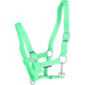 Harry's Horse Veulenhalster Lime Harry's Horse Veulenhalster Lime